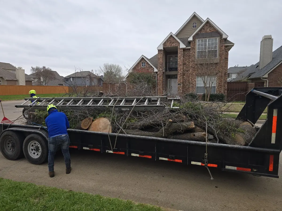 Expert Lot Clearing with proper safety equipment in Wonewoc